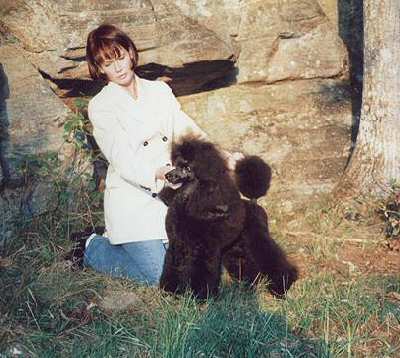 Angelview Martin, a distinguished champion poodle from Norway